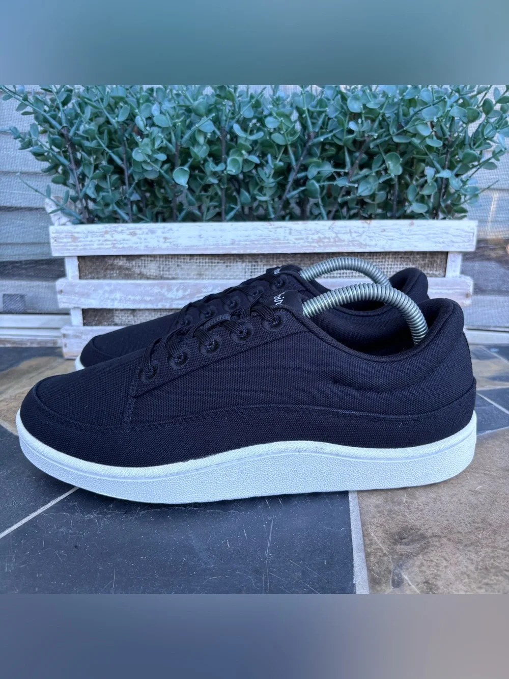 Allbirds Canvas Pacer Sneakers in Black